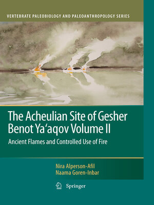 cover image of The Acheulian Site of Gesher Benot Ya'aqov Volume II